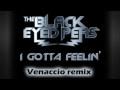 /f818ffba5f-black-eyed-peas-i-gotta-feeling-venaccio-remix