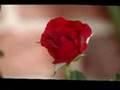 /72b977995d-nana-mouskouri-the-rose